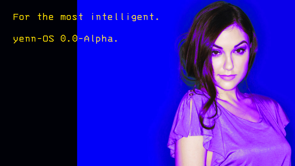 Stolen Intelligent Person Picture